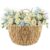 HAOPENGYOU Scalloped Wall Basket – Hanging Wicker Basket with Handle