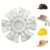 Hat Ice Packs – Reusable Cooling Inserts, Cold Hat Liners Pack