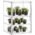 HBlife Mini Greenhouse for Indoor, 3-Tier Clear Stackable Green House with Magnetic Door & Adjustable Dividers, Tabletop Portable Greenhouse for Small Plants Nursery Germination and Display, 1 Pack