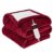Heated Blanket Electric Twin, Soft Flannel Heating Blanket with 8 Hours Auto Off 10 Fast Heating Levels Machine Washable Sherpa Heated Blanket with Overheating Protection