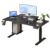 Height Adjustable Computer Desk for Bedrooms – Electric Standing Desk