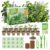 Herb Garden Starter Kit – Fruivity 12800+ 15 in 1 Herb Heirloom Seed Kits for Indoor/Outdoor Planting | Herb Indoor Garden Kit Starter – Complete Herb Garden Starter Set with Gift Packaging for Family