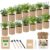 Herb Indoor Window Garden Kit – House Plants Seeds – Best Unique Christmas Gift Ideas for Women, Friend, Birthday, Housewarming, Mother, Beginner DIY Craft & Hobby Gardening Gift for Plant Lovers