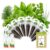 Herb Seed Pod Kit with Basil Mint Cilantro Mixed, Grow Anything Seed Starter Pod Kit for Hydroponics Growing System with Plant Food, Seeds Included Basil, Dill, Oregano, Chive (8-Pod-n)