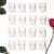 HERON Hand Soap Tablets, Cleansing Tablets for Hand Washing, Lavender, Vanilla, Honey, Aloe Vera, Coconut, Lemon, Rose, and Almond (Rose Garden, 16 Tablets Only)