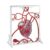 High Simulation Heart Protection Model with Squeeze Ball Pump, Medical Teaching Aid for Enhanced Blood Circulation and Cardiovascular Education