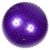 HOLIDYOYO Anti Burst Spiked Yoga Exercise Ball for Sensory Training and Developing Coordination Skills, Purple PVC Stability Gym Ball for Daily Workout Exercise and Office Use