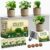 HOME GROWN Indoor Organic Herb Garden Kit, Unique Valentines Day Gift for Adults, Men, & Women,Grow 4 Herb Seeds for Kitchen Window Garden,Beginner DIY Hobby Gardening for Plant Lovers, Mom & Dad