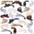 Honoson 24 Pcs 3D Printed Snow Leopard Fidget 3D Printed Small Animal Flexible Cute Articulating Pet Stress Relief Fidget for Home Decoration and Display