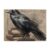 Honozo 500-Piece Wood Jigsaw Puzzle Hardcover Books Ravens