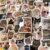 HopPixelle 100 Pcs Cat Stickers, Funny Cat Meme for Water Bottles Laptop Scrapbook, Cute Vinyl Kitten Sticker Pack for Kids Adults Teens, Journaling Vision Board Supplies