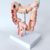 Human Anatomy Model, 3D Colon Anatomical Education Replica for Physiology Study, Detailed Educational Tool for Students and Professionals, Ideal for Medical Training