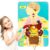 Human Body Parts Puzzle, Body Model Felt Board Learning Toy for Kids
