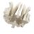 Human Skeleton Model for Anatomy Ethmoid Bone Teaching Aid Practical Temporal Hospital Supplies Human Skeleton Anatomy Sphenoid Ethmoid School Teaching Tool