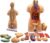 Human Torso Anatomy Model 19 Removable Organs, 55cm for Physiology Teaching