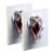 HXshaoye journal notebook Scary Animal vipers 3d Wall Art 2 pack