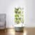 Hydroponic Growth and Germination kit, Indoor Vertical Tower System kit