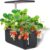 Hydroponics Growing System, 6 Pods Indoor Garden with LED Grow Light,Height Adjustable and Automatic Timer for Fruits, Vegetables