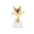 IMIKEYA Crystal Star Trophy Cup for Student Recognition Decor