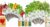 inbloom 7 Pods Fruit Seed Pod Kit and 12 Pods Gourmet Herb Basil Seed Pod Kit for AeroGarden, Ahopegarden, GARDENCUBE, MUFGA, iDoo Hydroponics Growing System