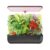 Indoor Hydroponic Growing System, 12-Pod Indoor Herb Garden with LED Grow Lights, Quiet Automatic Hydroponics with Adjustable Height, Home Kitchen Plant Germination Kit