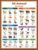 Italian Grammar Poster – Bilingual language school chart: Animals