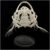 IVQAPP Animal Skull Specimen Monkfish Skull Head Model – Realistic Fish Heads Skeleton Decorations – Art Bone Monkfish Skull Model – for Teaching Study Display Home Decor (A)