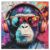 Ixfyloop Wooden Puzzle 500Pcs Modernist Baboon Jigsaw Gift 15.9×15.9in
