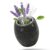 IXIGER Sauna Accessories Set,5x5cm Sauna Aromatherapy Stone Cup，Essential Oil Diffuser-Essentials for Natural Rock Sauna Oil Aromatherapy