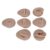 Jauarta Silicone Body Model, 7 Piece Practice Set with Acrylic Racks