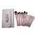 JFELDDIE 12 Small Grape Makeup Brush Set Powder Eye Shadow Full of Beauty Tools
