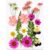 Jiangbered Children Paper Crafting papermaking Instruction Booklet Glue Bottles Mixed Glitter Packets Pigment Bottles Suitable for Children Creative Play Home Decoration, Pale Rose Flowers, Rose