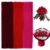 jijAcraft 300Pcs Pipe Cleaners Chenille Stems, Red Assorted Pipe Cleaners
