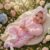 JIZHI Realistic Baby Doll Sunny, 17 Inch Cute Reborn Baby Doll
