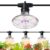 JMXULONG Full Spectrum LED Outdoor Grow Light, Waterproof String Light with 12Ft Adjustable Cord, 3-Light for Seedling, Veg, Flower in Greenhouse, Farm