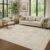JOLLYVOGUE Vintage Floral Area Rug 6×9, Washable Rug for Living Room, Beige