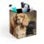 JTKBNVM PU Leather Desk Cocker Spaniel Pen Holder Compact Scratchproof