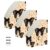 Kagirah 3 Pack File Magazine Holder, Magazine Rack with Label, Desk Organizer, Foldable Storage Organizer Box for Book, Documents, CDs (Ember Wing Pattern)
