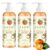 Kaori Persimmon Body Wash for Old People Smell, Deep Cleansing (3pcs)