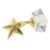Kichvoe Crystal Star Trophy Award for Student Competition Prize