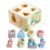 KIDS PREFERRED Beatrix Potter Peter Rabbit Wooden Shape Sorter for Toddlers, Includes 8 Pieces, Multicolor