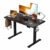 Kingant Standing Desk, 48×24 Inch Electric Height Adjustable Computer Desk