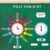 Kosiz 55 Pcs Telling Time Bulletin Board Kit Teaching Clock for Kids Back to School Analog Clock Number Labels Learn to Tell Time Practice Prop 1st 2nd 3rd Grade Classroom Home Supply(Bright Color)