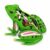 KQFCAZRE Frog Physiological Makeup Model Interactive Frog Model with Detachable Parts Highly Accurate for Teachers, Kids, Classroom, Homeschool
