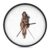 Lady Native U.S. Indian Wall Clock Non-Ticking Digital Wall Clock
