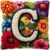 Latch Hook Pillow Kit Letter C and Colorful Flowers Printed Pillow Cover DIY Crochet Yarn Hooking Pillowcase for Hobby and Home Decor 43x43cm