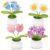 Leezmark 4 Pcs Crochet Flowers Bulk, Forget-Me-Not, Daisy, Tulip, Lily of The Valley Potted Plants, Cute Desk Decor, Crochet Plants Gifts for Mom, Teacher, Classmate, Colleague, Friend