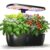 LETPOT Hydroponics Growing System, 12 Pods Indoor Herb Garden Kit with 24W LED Grow Light, 5.5L Water Tank & 16″ Adjustable Height, Smart Indoor Gardening System for Kitchen, Home & Gift