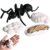 Life Cycleinsects Toys – 6Pcs Educational Figurine Set Ladyybuges