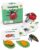 Life Cycle Kit Montessori – Realistic Figurine Toys, Kids Animal Matching Game with Ladybug, Easter Basket Stuffers for Kids, Science Fun for Learning Education Toys